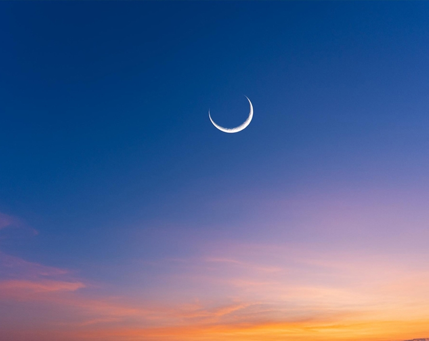 Conditions for Zakat obligation in Hanafi school, including being Muslim, adult, sane, owning wealth above nisab, and maintaining it for one lunar year.